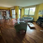 Rent 4 bedroom apartment of 95 m² in Turin