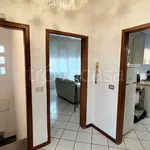 Rent 3 bedroom house of 100 m² in Padova