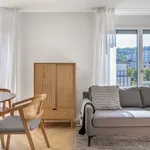 Miete 1 Schlafzimmer wohnung von 517 m² in Zurich