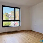 Rent 2 bedroom apartment of 52 m² in Prague