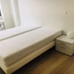 Huur 3 slaapkamer appartement van 165 m² in brussels