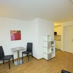 Miete 1 Schlafzimmer wohnung von 21 m² in Zürich