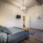 Rent 1 bedroom apartment in Florence