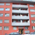 Rent 1 bedroom apartment of 753 m² in Zurich