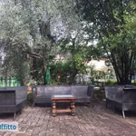 Rent 1 bedroom house of 28 m² in Florence