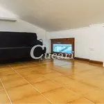 Rent 1 bedroom apartment of 28 m² in Grottaferrata