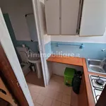 1-bedroom flat viale Po, Tor San Lorenzo - Nuova California, Ardea