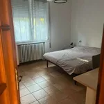 Rent 4 bedroom apartment of 60 m² in Ferrara