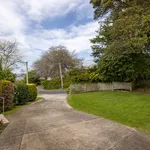 Rent 2 bedroom house in Tauranga