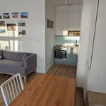 Pronajměte si 1 ložnic/e byt o rozloze 34 m² v Prague