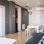 Rent 1 bedroom apartment in madrid