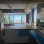 Rent 4 bedroom apartment of 100 m² in Moncalieri