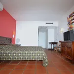 Rent 1 bedroom apartment of 30 m² in AvignonT