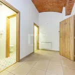 Rent 1 bedroom apartment in Prague