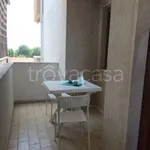 Rent 2 bedroom apartment of 40 m² in Nettuno