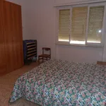 Rent 4 bedroom apartment of 75 m² in Follonica