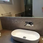 Rent 3 bedroom house of 60 m² in Firenze