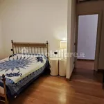 Rent 3 bedroom apartment of 75 m² in Piacenza