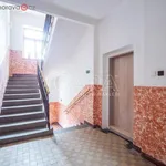 Rent 1 bedroom apartment of 33 m² in Ostrava