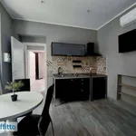 Rent 2 bedroom apartment of 45 m² in Turin