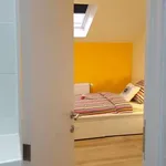 Rent a room in brussels