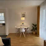 Miete 2 Schlafzimmer wohnung von 51 m² in Wiesbaden