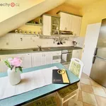 Rent 2 bedroom apartment of 45 m² in Klášterec nad Ohří