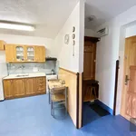 Rent 1 bedroom apartment of 33 m² in Křišťanovice