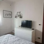 Rent 2 bedroom apartment of 50 m² in Viterbo