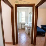 Rent 3 bedroom apartment of 65 m² in Capalbio