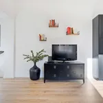 Rent 1 bedroom apartment in Bologna