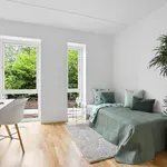 Rent 2 bedroom apartment of 73 m² in Aarhus