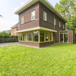 Rent 4 bedroom house of 220 m² in 's-Gravenhage