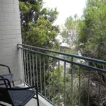 Rent 1 bedroom apartment in St Kilda East