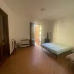 Rent 2 bedroom apartment of 50 m² in Reggio di Calabria