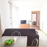 Rent 2 bedroom apartment of 56 m² in Fontaniva