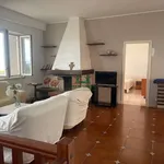 Rent 3 bedroom apartment of 70 m² in Trani