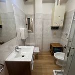 Rent 1 bedroom apartment of 35 m² in Bologna