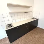 Rent 1 bedroom apartment in Praha 5