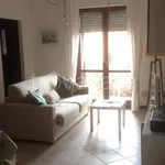 Rent 3 bedroom apartment of 70 m² in Pisa