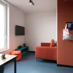 Rent 1 bedroom apartment in milan