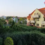 Rent 1 bedroom apartment of 44 m² in Praha