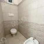 Rent 1 bedroom apartment of 70 m² in cerea