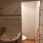 Rent 1 bedroom apartment in Sokolov