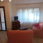 Rent 4 bedroom apartment of 100 m² in Montespertoli