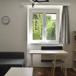 Rent 1 bedroom apartment of 35 m² in Brno