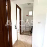 Affitto 2 camera appartamento di 55 m² in Velletri