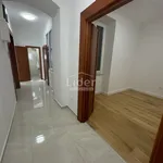 Rent 3 bedroom apartment of 66 m² in Grad Rijeka