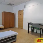 Rent 1 bedroom apartment in Blansko