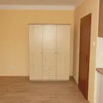 Rent 1 bedroom apartment in České Budějovice